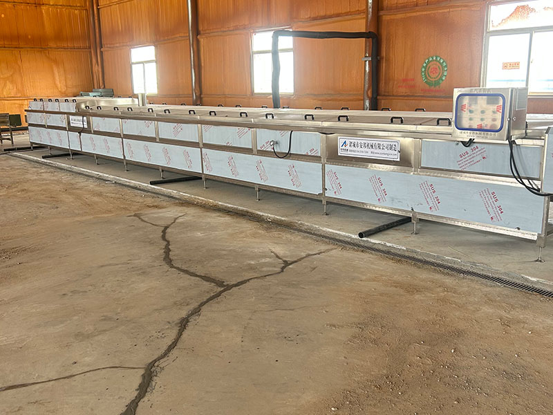 Ningxia daylily processing site